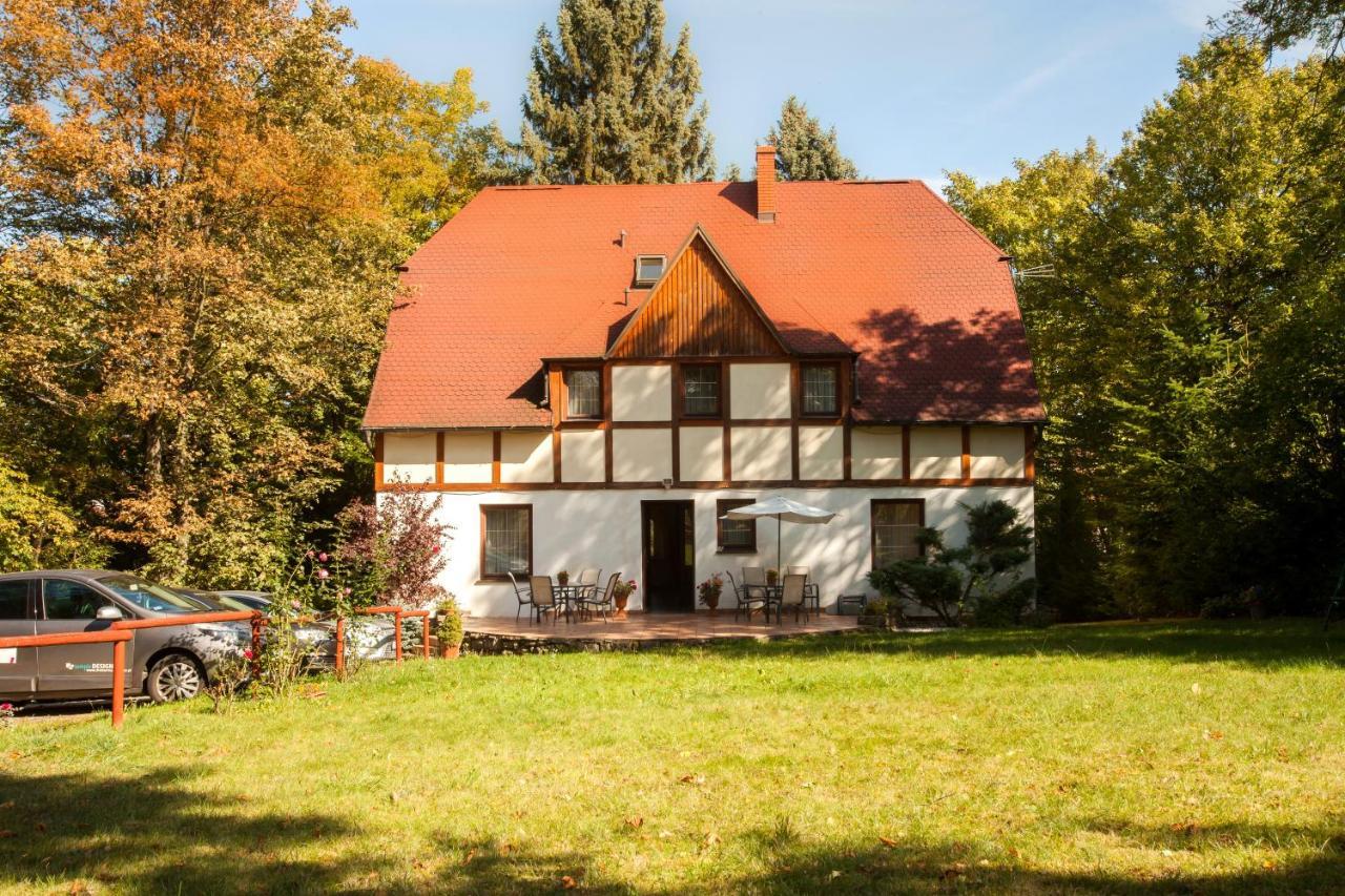 Pensjonat Pod Swierkami Bad Altheide Exterior foto
